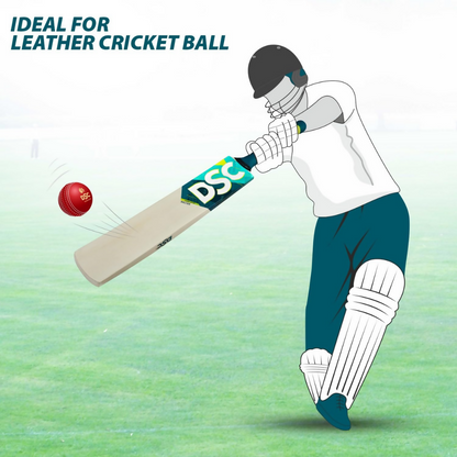 DSC Belter Wood Kashmir Willow Cricket Bat - Dista