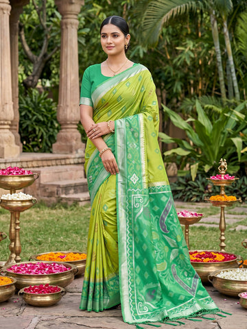 Shree Shyam Fashion Light Green Soft Silk Saree - Dista