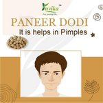 Thumbnail for Yuvika Paneer DODI - Paneer Ke Phool - Withania Coagulan