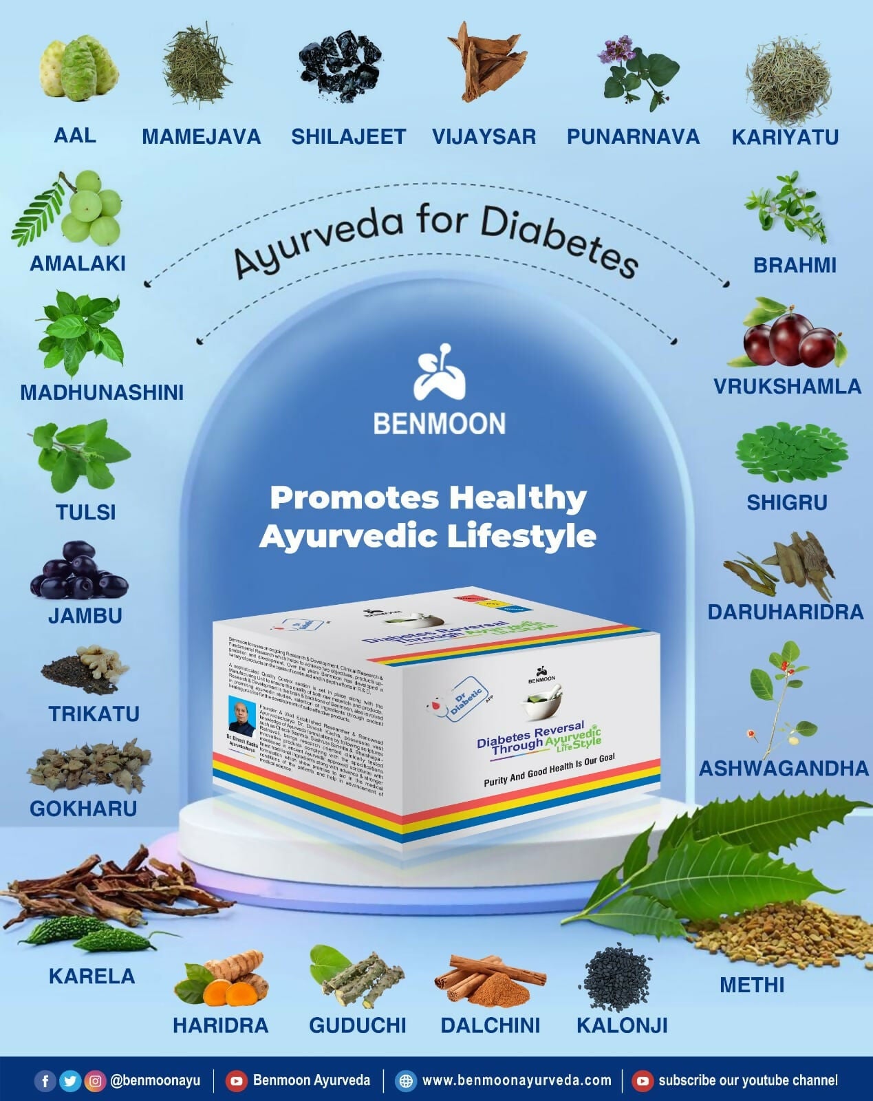 Benmoon Ayurveda Biobetes Crush Sachets - Distacart
