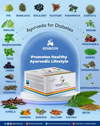 Thumbnail for Benmoon Ayurveda Biobetes Crush Sachets - Distacart