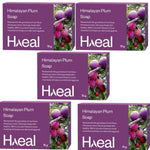 Thumbnail for Haeal Himalayan Plum Soap