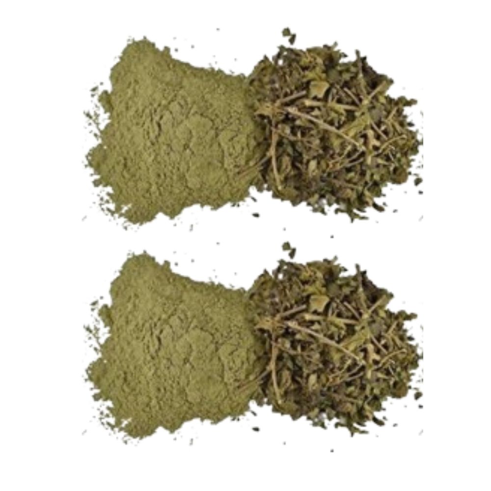 Hebsur Herbals Madhunshini/Gurmar Powder - Distacart