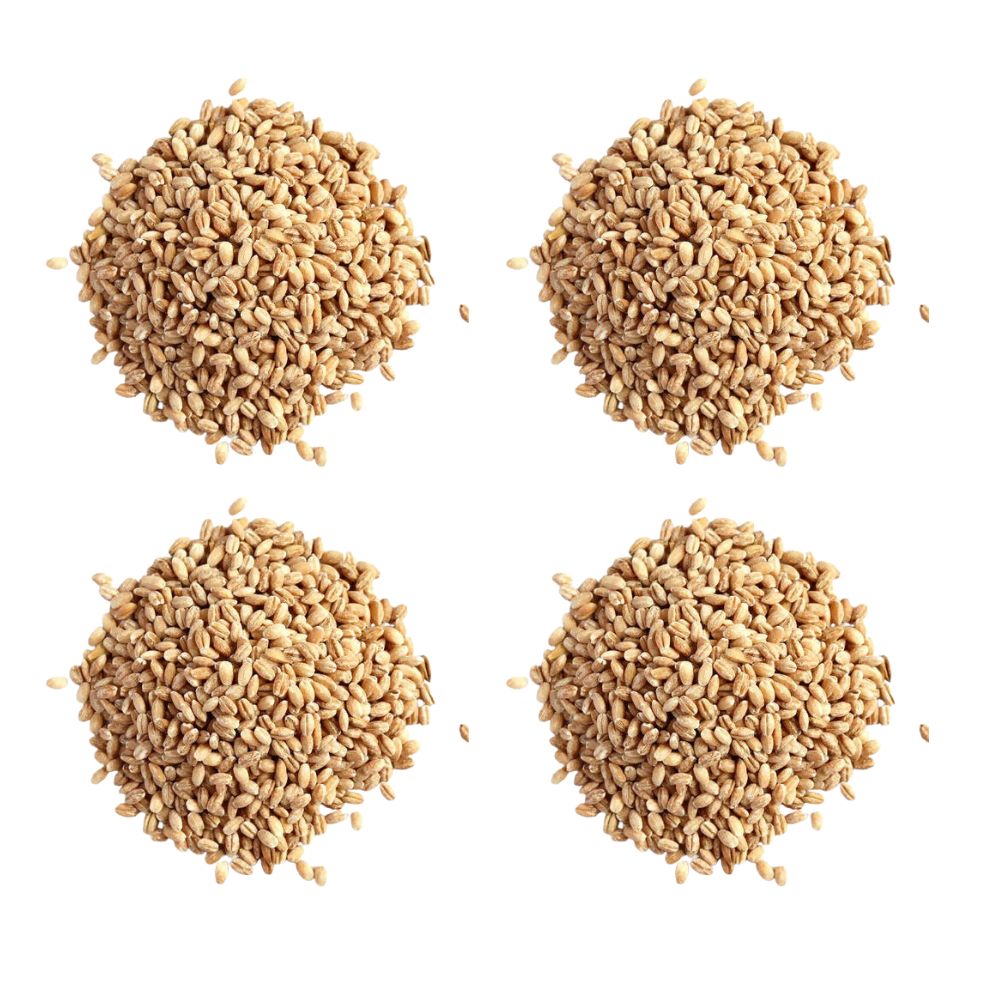Hebsur Herbals Barley Seeds - Distacart