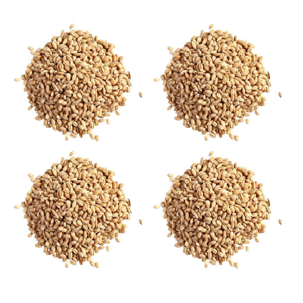 Hebsur Herbals Barley Seeds