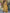 Floral Printed Calf Length Flared Anarkali And Palazzo With Printed Dupatta (Mustard) - Hiral Fashion
