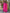 Floral Printed Calf Length V Neck Kurti And Palazzo Set With Printed Cotton Dupatta (Pink) - Hiral Fashion