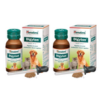 Thumbnail for Himalaya Digyton Drops Digestive stimulant Antiflatulent, Bowel Regulator