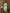 Prazu Fashion Light Green Organza Embroidery Coding Sequin Salwar Suit