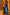 Very Much Indian Gaurangi - Handloom Cotton Silk Saree with Golden Border in Exclusive Rich Blue