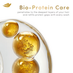 Thumbnail for Dove Dandruff Clean & Fresh Shampoo for Clincally Proven