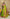 Exclusive Collection Light Green Beautiful Tissue Benarasi Saree