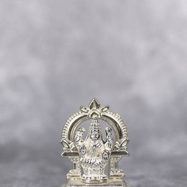 UploadsImagesSri Rudra Darbar Mi (1)