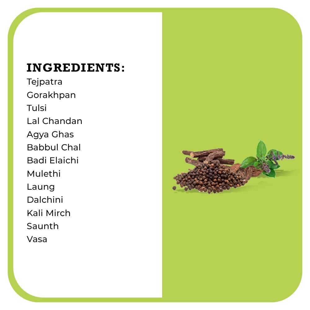Desh Rakshak Himalayan Herbal Tea - Dista