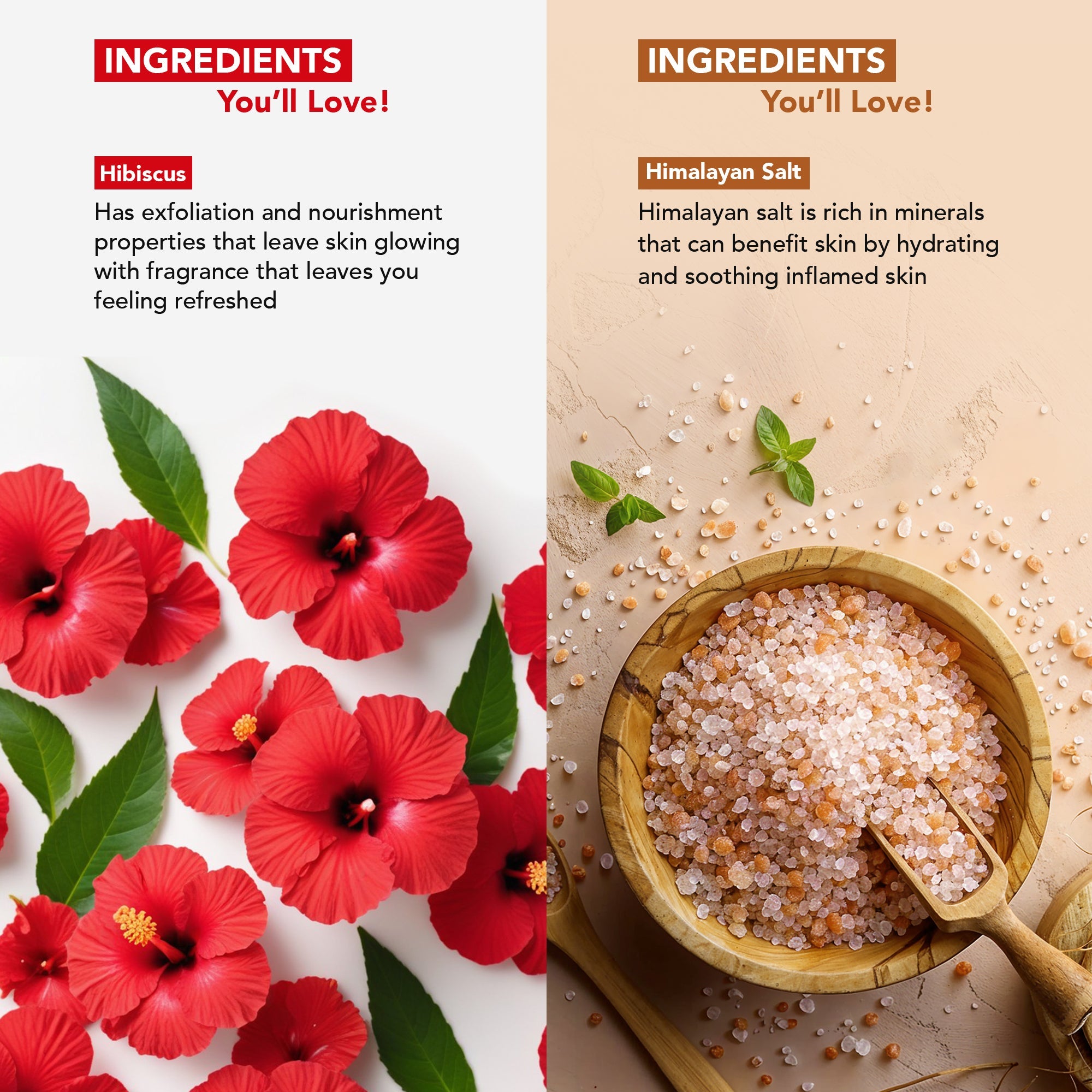 Botanic Hearth Deep Exfoliation Combo - Himalayan & Hibiscus Body Scrubs - Distacart