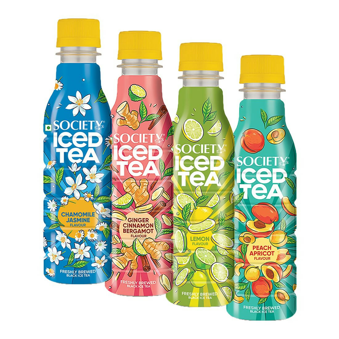 Society Ice Tea Bottle Assorted
