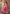 Jyoti Fashion Red & Pink Digital Print with Sequin Codding Embroidered Georgette Lehenga Choli with Dupatta - Distacart