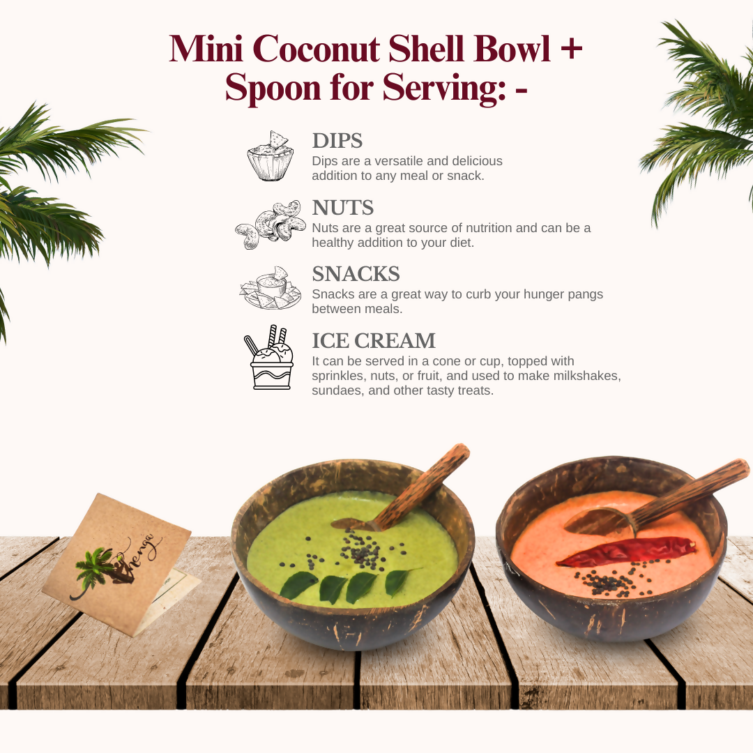 Thenga Artisan Mini Coconut Shell Bowl with Spoon - Dista