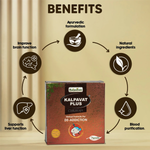 Thumbnail for Rajasthan Herbals Kalpavat Plus Churna