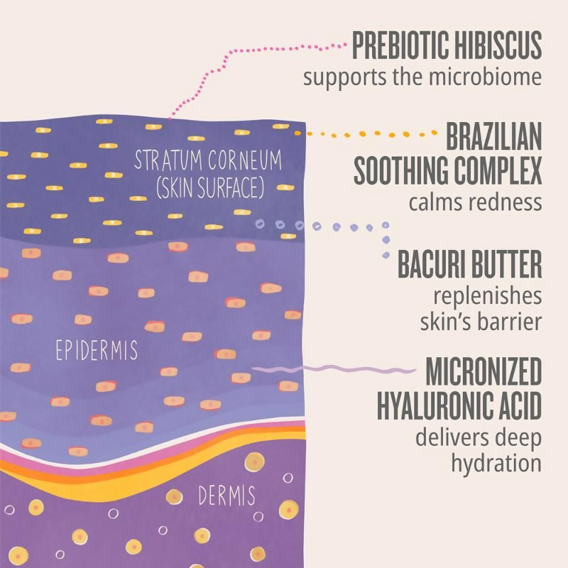 Sol de Janeiro Delicia Drench Body Butter - Distacart