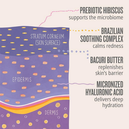 Sol de Janeiro Delicia Drench Body Butter - Distacart