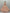 Jyoti Fashion Women's Peach Heavy Net Fancy Dori, Multi Thread, Rainbow Sequins and Diamond Work Wedding Lehenga Choli - Distacart