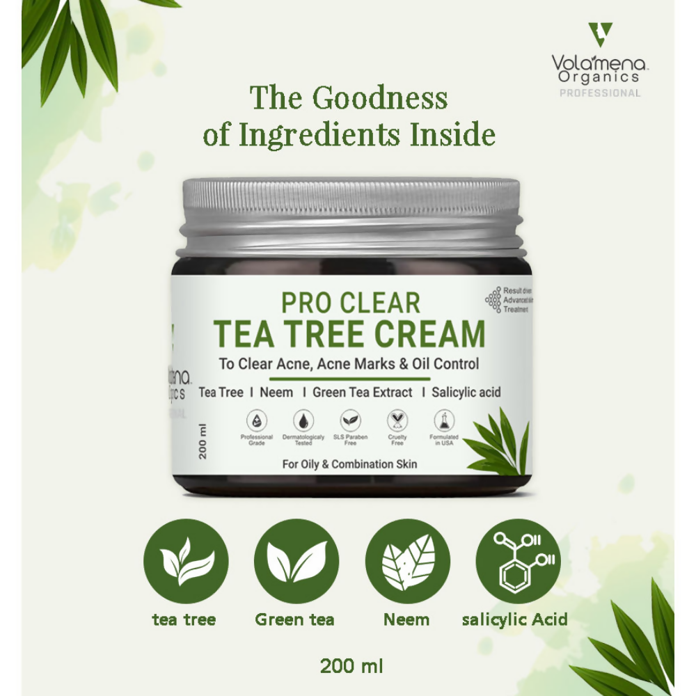 download - 2024-11-25T171225.078