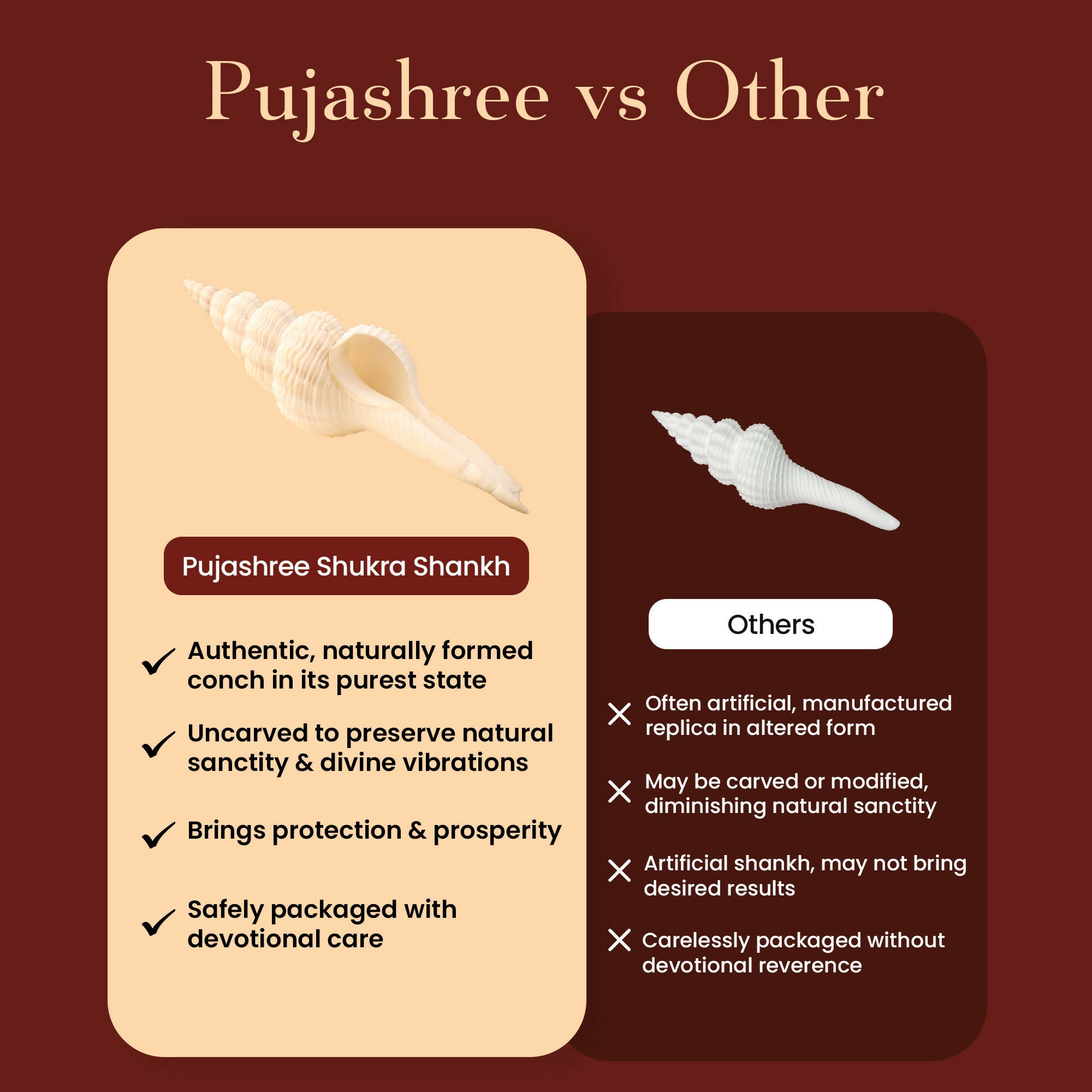 Pujashree Shukra Shankh – Venus Graha Conch For Prosperity & Harmony - Dista