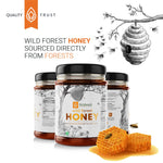 Thumbnail for Krishna'S Herbal & Ayurveda Pure Wild Forest Honey