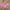 Candy Floss Desire Pink Coloured Slub Cotton Ready to Wear Blouse - kapda Tailor - Distacart