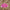 Mann Mohanaa Pink Coloured Chanderi Broket Ready to Wear Blouse - kapda Tailor - Distacart