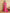 Ai Fashion Pink Georgette Bandhani Print Party Wear Saree