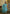 J4819SKYBLUE (1)-2000x2856