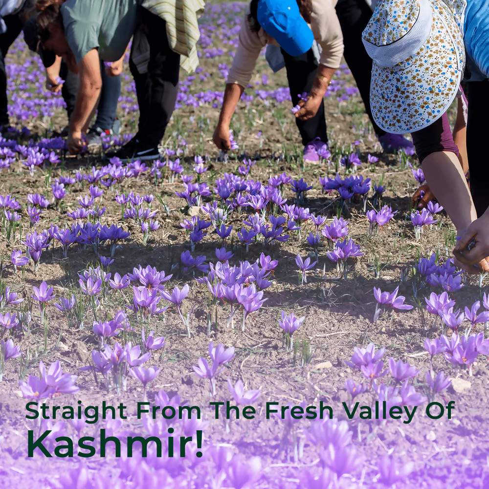 Organic Mandya Kashmiri Saffron - Distacart