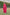 Jyoti Fashion Women's Pink Faux Blooming Embroidered Kurta with Trouser & Dupatta - Distacart