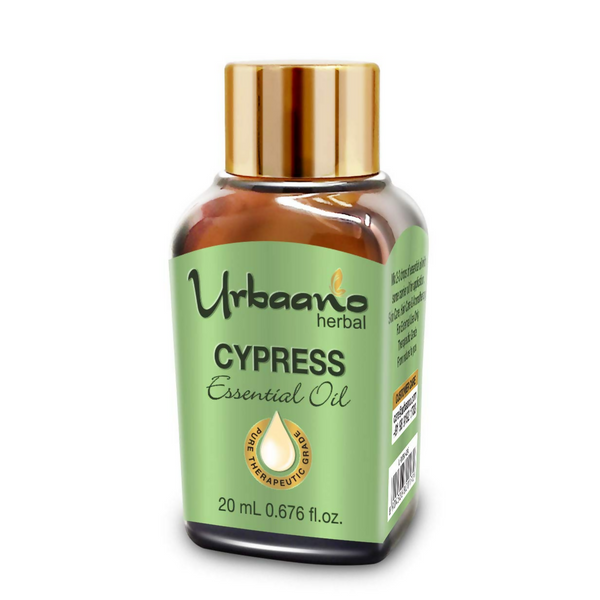 download - 2025-05-07T110336.073