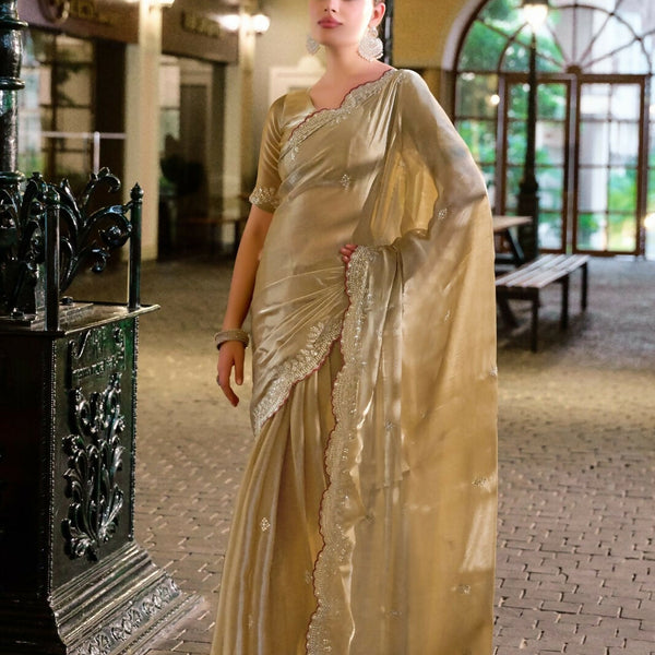 Vastranavya Beige Embroidery Work Shimmer Chiffon Saree with Unstitched Blouse