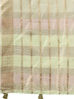 Thumbnail for Astita Organza Light Green Saree