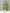 Sztori Plus Size Floral Yoke Design Mirror Work Straight Kurta