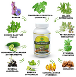 Thumbnail for Sushrut Ayurved Good Health Sugar Knocker Veg Capsules - Distacart