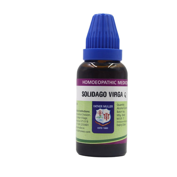 Father Muller Solidago Virgaurea Mother Tincture Q - Distacart