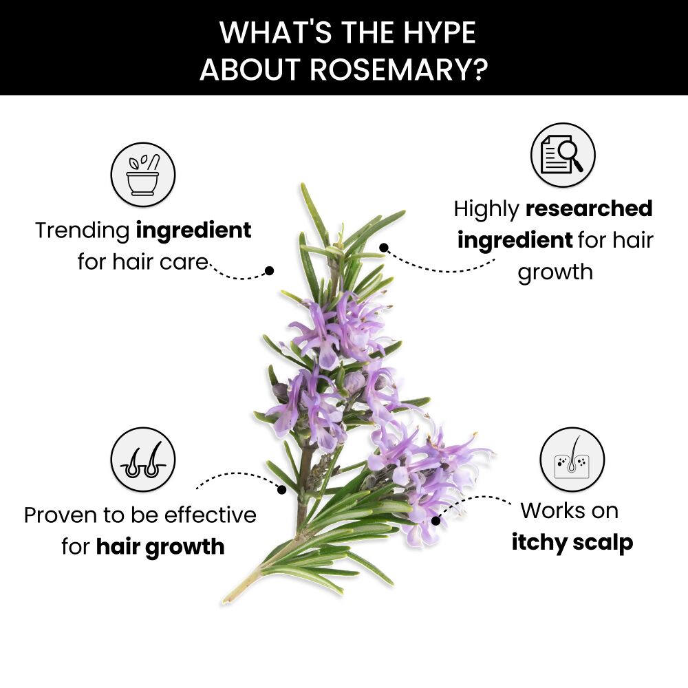 ThriveCo Rosemary Essential Oil - Distacart