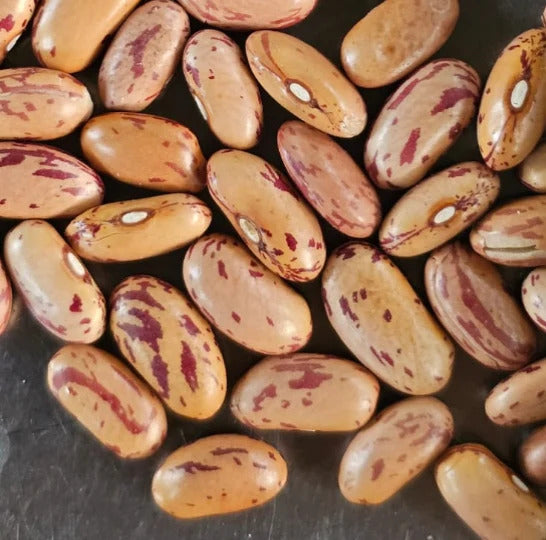 Hetha Himalayan Chitkabra Rajma - Dista