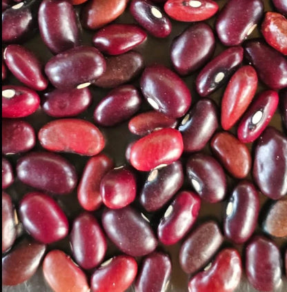 Hetha Himalayan Red Rajma - Dista