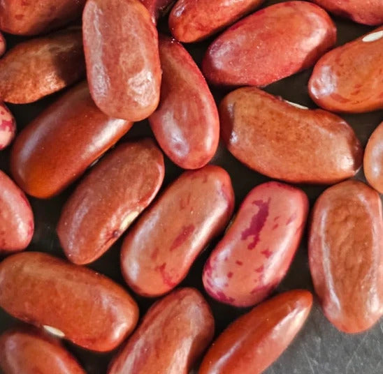 Hetha Himalayan Brown Rajma - Dista