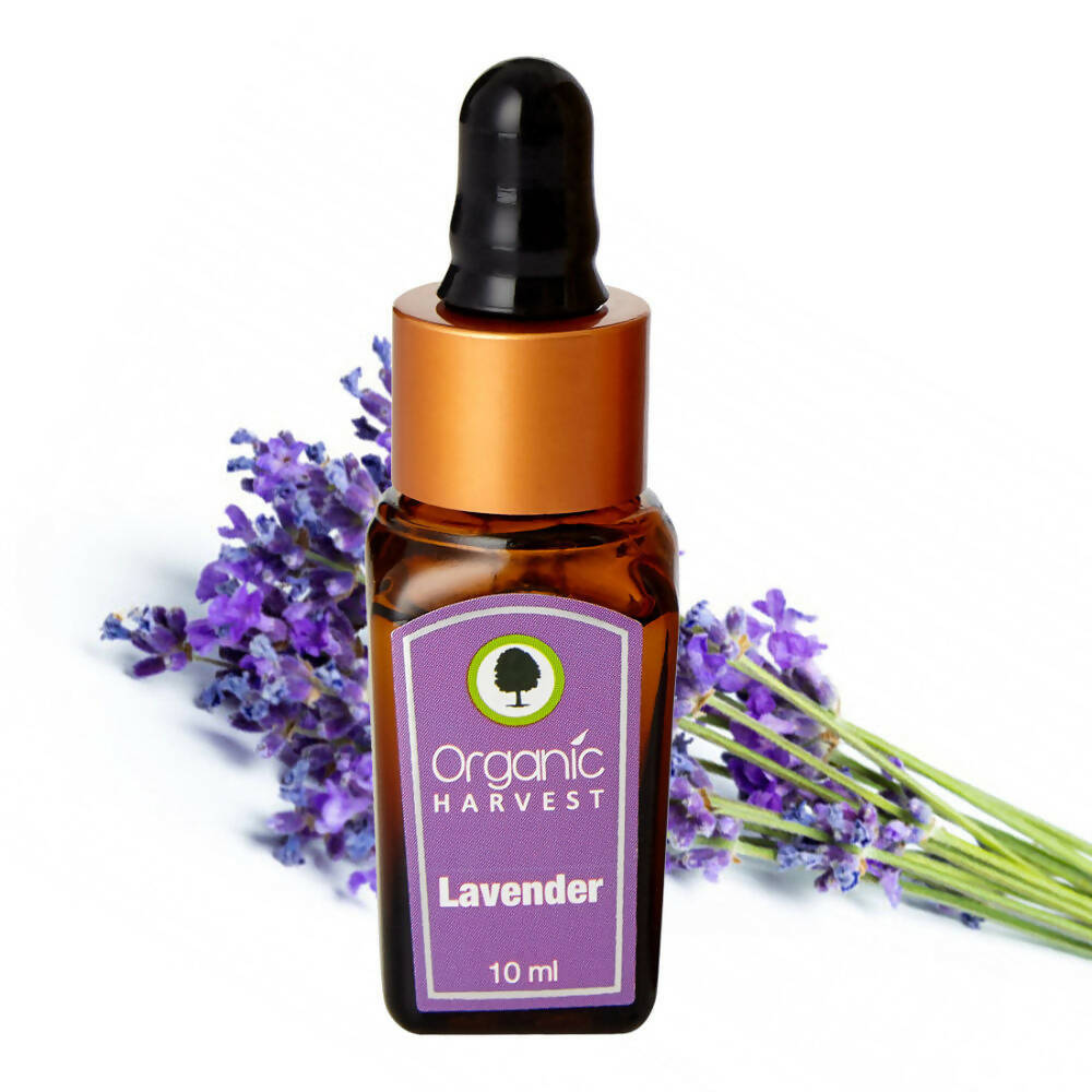 Organic Harvest Lavender Essential Oil - Distacart