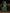 Juniper Women's Sea Green Ethnic Motif Printed Slub Satin Kurta Pant And Chiffon Dupatta Set With Buttons & Lace - Distacart