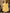 Juniper Women's Yellow Floral Printed Rayon Kurta With Pant And Dupatta With Thread & Sequins Work - Distacart