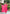 Juniper Women's Pink Lehriya Printed Musline Kurta Set With Mirror Work & Sequins - Distacart