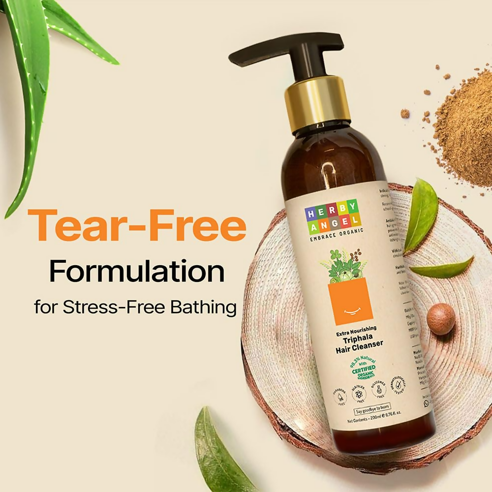 download - 2025-01-06T164516.314